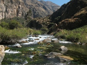 rio huarco